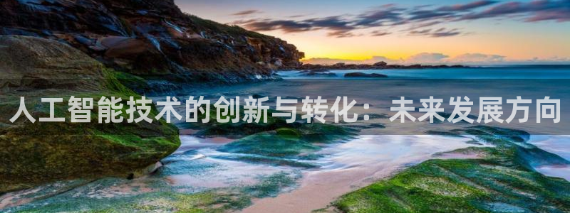 人工智能技术的创新与转化：未来发展方向