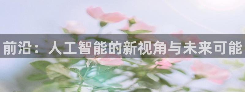 前沿：人工智能的新视角与未来可能