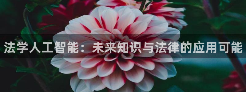 法学人工智能：未来知识与法律的应用可能