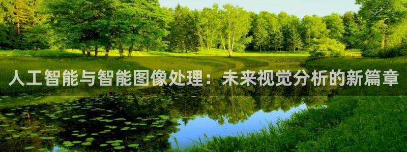 人工智能与智能图像处理：未来视觉分析的新篇章