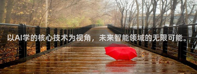 以AI学的核心技术为视角，未来智能领域的无限可能。