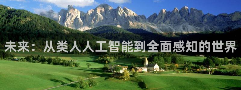 未来：从类人人工智能到全面感知的世界