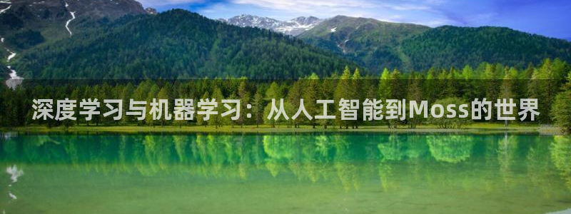 深度学习与机器学习：从人工智能到Moss的世界