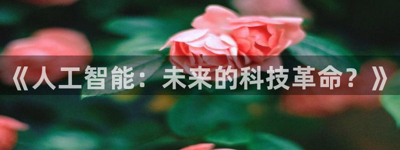 《人工智能：未来的科技革命？》
