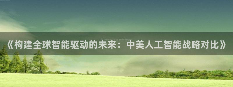《构建全球智能驱动的未来：中美人工智能战略对比》