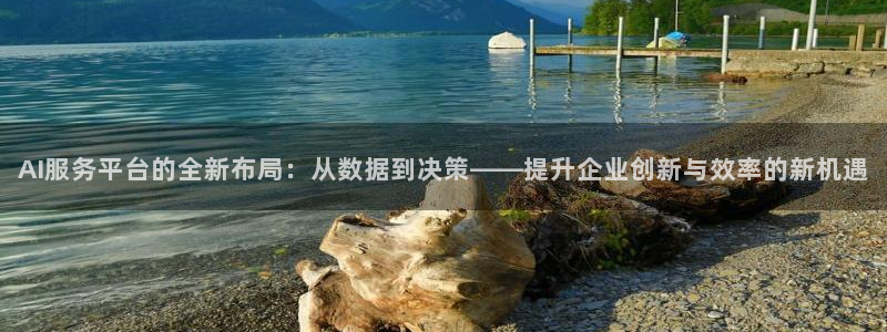 AI服务平台的全新布局：从数据到决策——提升企业创新与效率的新机遇