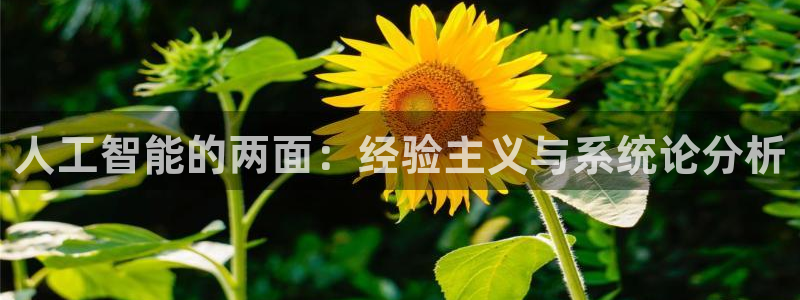 人工智能的两面：经验主义与系统论分析