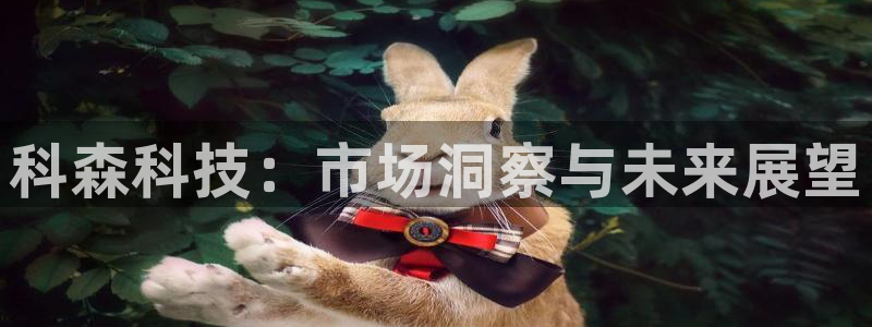 科森科技：市场洞察与未来展望