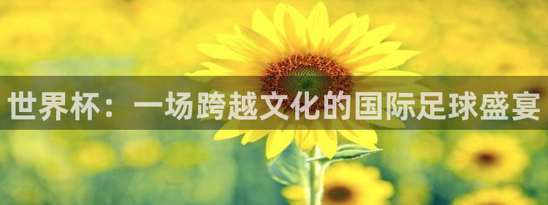 世界杯：一场跨越文化的国际足球盛宴