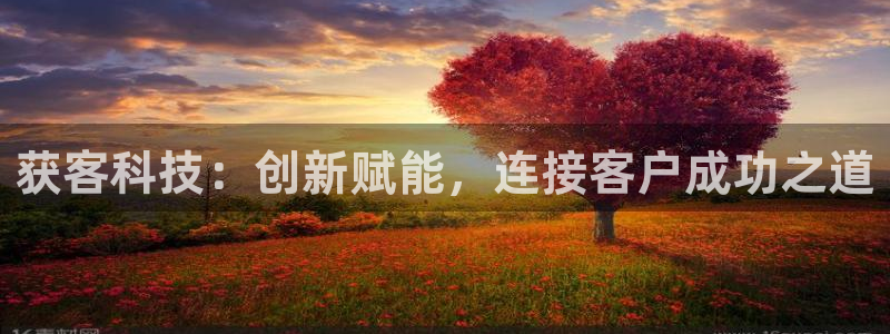 获客科技：创新赋能，连接客户成功之道