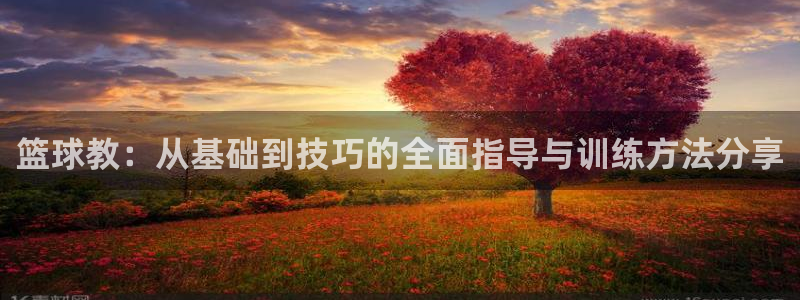 篮球教：从基础到技巧的全面指导与训练方法分享