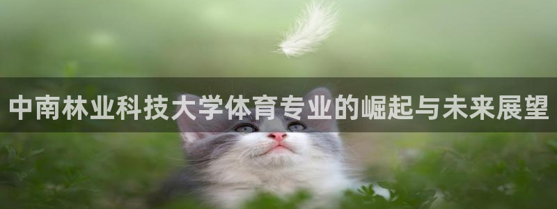 中南林业科技大学体育专业的崛起与未来展望