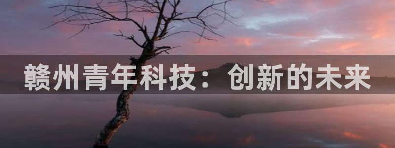 赣州青年科技：创新的未来