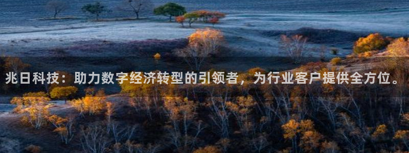 兆日科技：助力数字经济转型的引领者，为行业客户提供全方位。