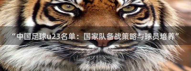 “中国足球u23名单：国家队备战策略与球员培养”
