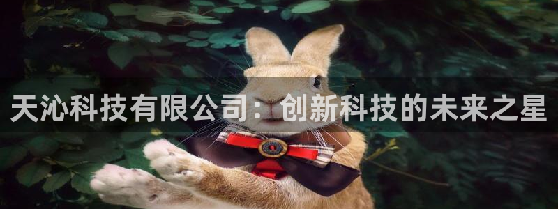 天沁科技有限公司：创新科技的未来之星