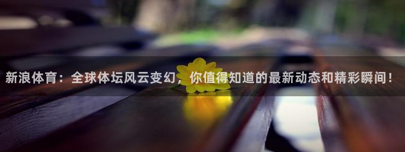 新浪体育：全球体坛风云变幻，你值得知道的最新动态和精彩瞬间！
