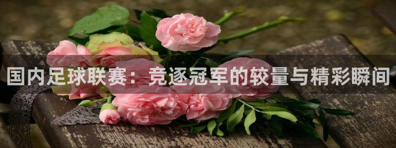 国内足球联赛：竞逐冠军的较量与精彩瞬间