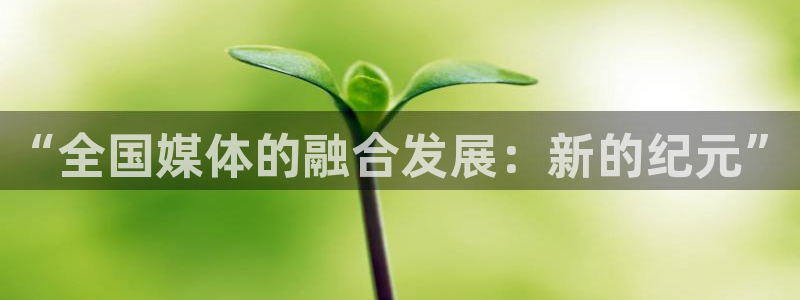 “全国媒体的融合发展：新的纪元”