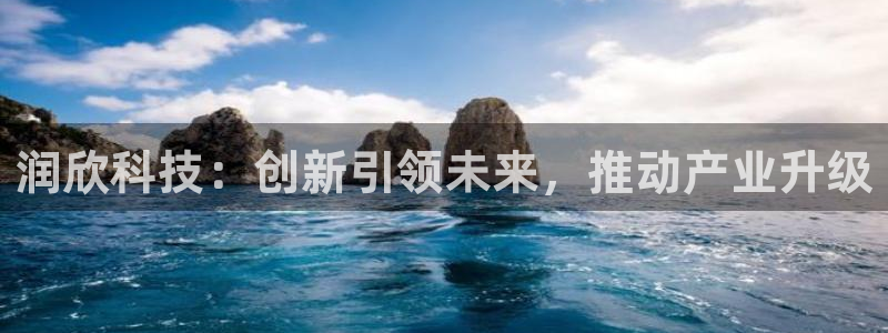 润欣科技：创新引领未来，推动产业升级