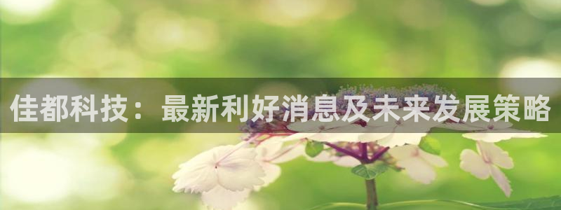 佳都科技：最新利好消息及未来发展策略