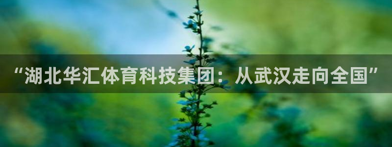 “湖北华汇体育科技集团：从武汉走向全国”