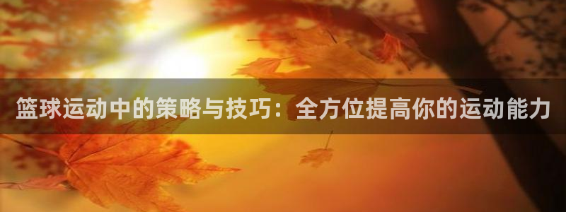 篮球运动中的策略与技巧：全方位提高你的运动能力