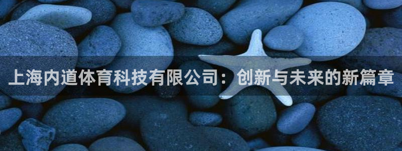 上海内道体育科技有限公司：创新与未来的新篇章