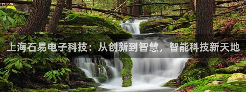 上海石易电子科技：从创新到智慧，智能科技新天地
