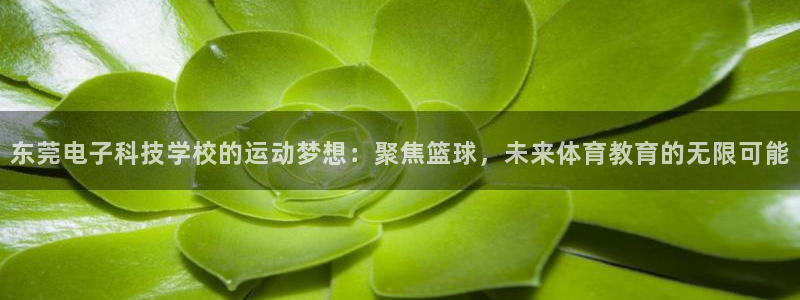 东莞电子科技学校的运动梦想：聚焦篮球，未来体育教育的无限可能